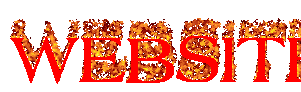 Flaming text image of the word "WEBSITE"